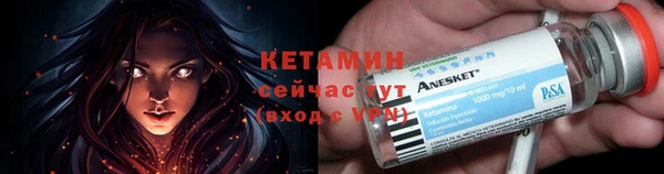 прущие грибы Волосово