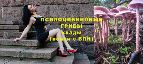 jwh Верея