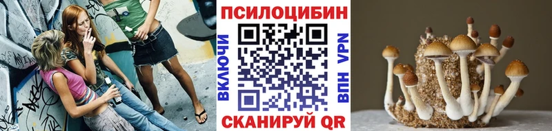 где найти   Вольск  Галлюциногенные грибы мухоморы 